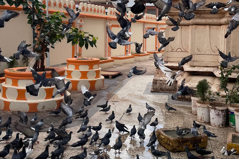 Kampala: Female-Guided Walking Tour