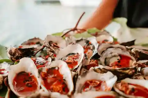 Bushtucker Cultural Cruise