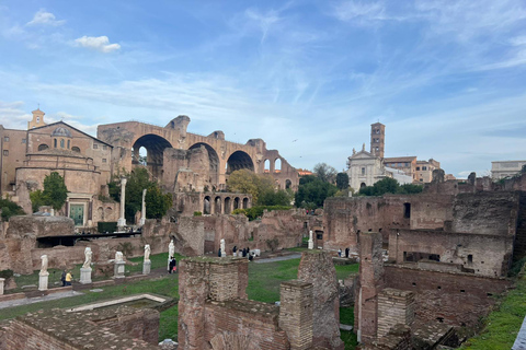 Small Group Guided Tour Colosseum Roman Forum, Palatine Hill Standard Tickets