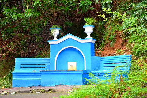 Mar Negro: Visita à Praia Magnética e ao Jardim Botânico de Batumi