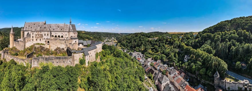 Vianden : visite privée captivante à pied