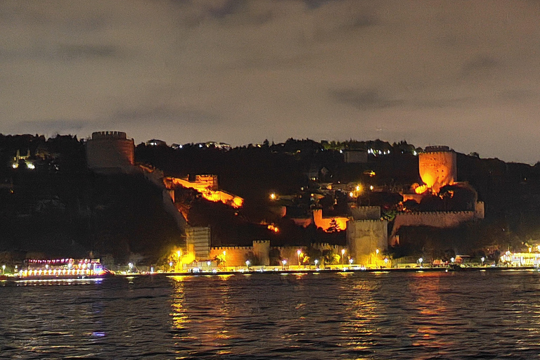 Bosphore d'Istanbul : croisière de 3 heures avec arrêt dans la partie asiatiqueBosphore : croisière guidée de 3 heures (sans repas)
