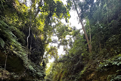 Cebu: Kawasan Falls Canyoneering Adventure with Transfers