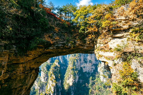 Zhangjiajie: 1-Day Tianmen & Avatar with Multilingual Guide Admission tickets not included