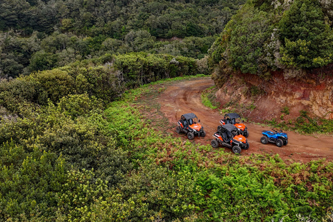 Madeira: OFF-ROAD BUGGY ADVENTURE TO FUNDURAS