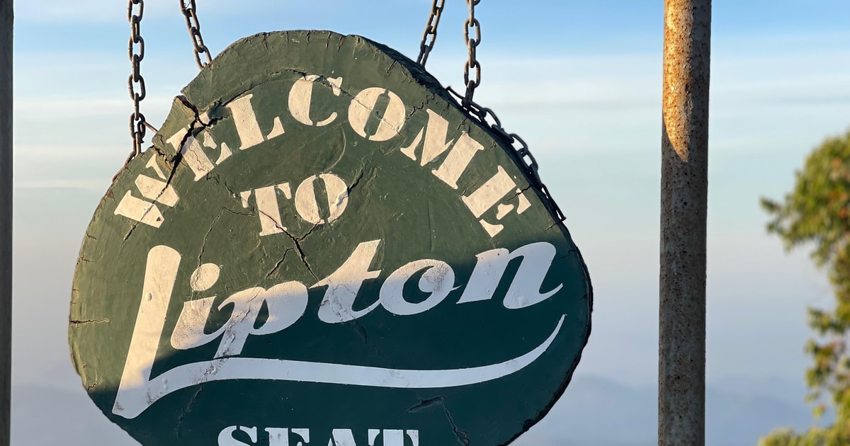 Van Ella Lipton Seat & Dambatenne Tea Factory Day Tour GetYourGuide