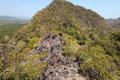 Langkawi: Kilim Geoforest Park Guided Jungle Trek