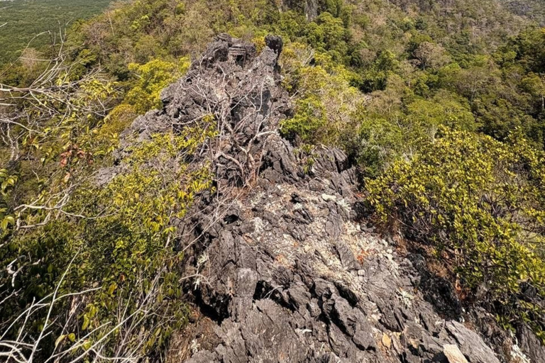 Langkawi: Kilim Geoforest Park Guided Jungle Trek