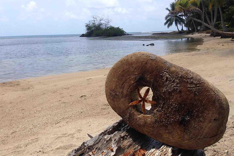 Panama City: Portobelo Jungle, Reef & Venas Azules Tour