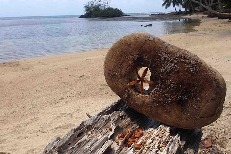 Panama City: Portobelo Jungle, Reef & Venas Azules Tour