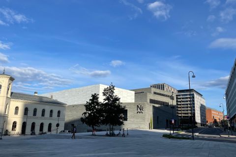 Oslo: Best of Oslo Walking Tour with National Museum Ticket