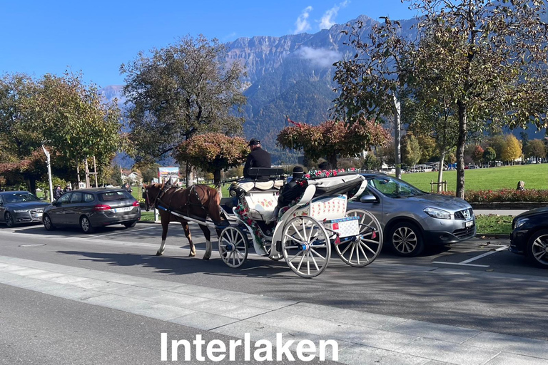 Zurich: Swiss Alps Tour to Bern, Interlaken & Grindelwald Zurich: Swiss Alps Tour to Bern, Interlaken & Grindelwald