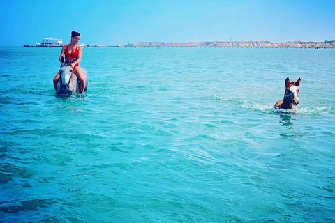 الغردقة: جولة ركوب الخيل في الصحراء والبحر مع خيار السباحةجولة لمدة ساعتين لركوب الخيل بدون السباح