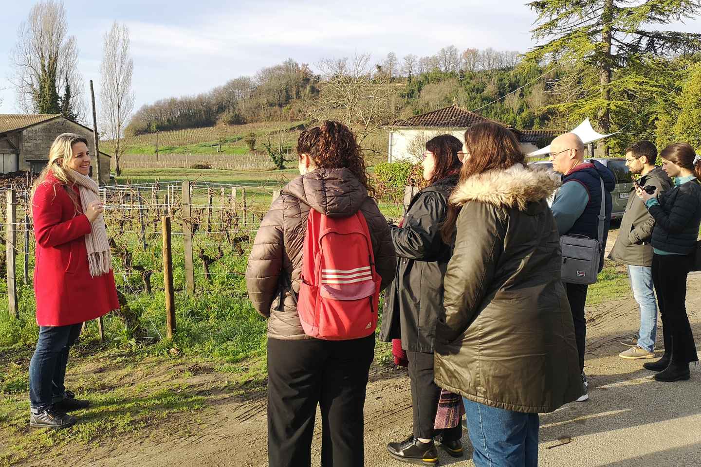 From Bordeaux: Saint-Émilion Half-Day Tour with Wine Tasting