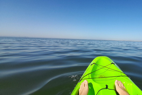 Swakopmund: Sunset Kayaking Tour with Hotel Pickup