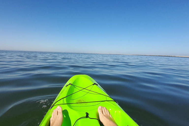 Swakopmund: Sunset Kayaking Tour with Hotel Pickup