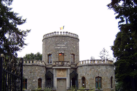 Brașov: Iulia Hașdeu Castle & Slănic Prahova Day Trip