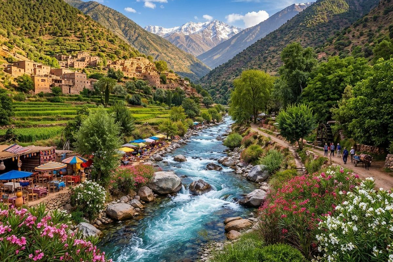 From Marrakech: Ourika Valley Atlas Mountains Day Trip with Lunch Option 3: Shared Group Transport and Local Guide