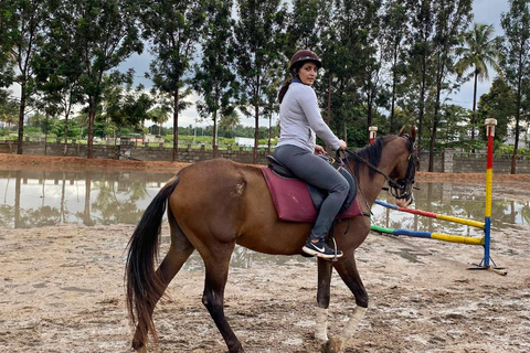 Best Horse Riding Safari Tour from Bangalore