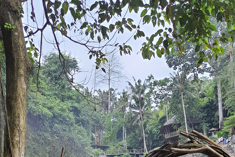 乌布猴林、梯田、秋千、寺庙和瀑布乌布猴林、水稻梯田、秋千、寺庙和瀑布