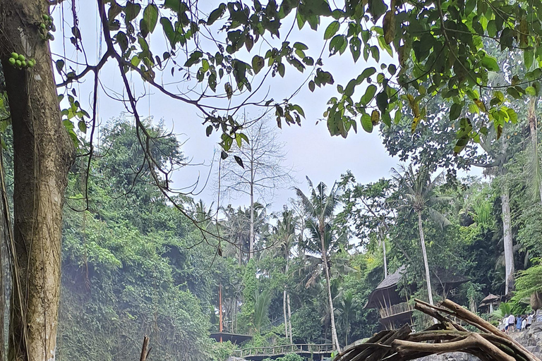 乌布猴林、梯田、秋千、寺庙和瀑布乌布猴林、水稻梯田、秋千、寺庙和瀑布