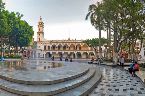 Veracruz: Sightseeing stadstour en aquarium