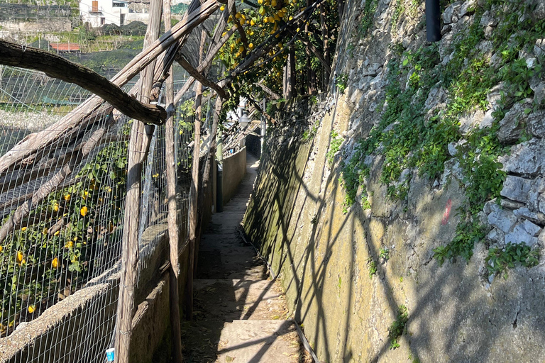 Z Positano: Wycieczka cytrynowa z degustacją i transferem