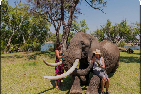 Victoriafallen: Genom en elefants ögaHöjdpunkter