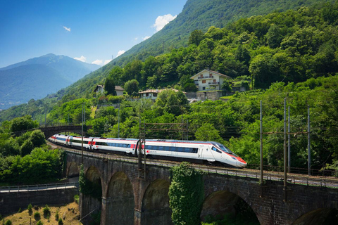 Zürich: ZVV 1-dagskort med obegränsad resa till zon 110 och 121