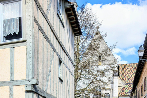 Tourist walk through the historic center of Troyes Sightseeing tour of the historic center of Troyes
