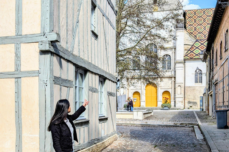 Tourist walk through the historic center of Troyes Sightseeing tour of the historic center of Troyes