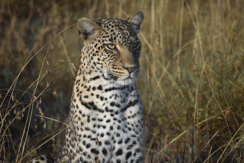 6 Dagen Het beste van Tanzania &amp; cultuur