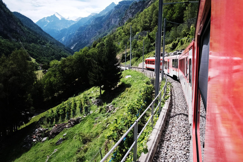 Swiss Alps by Train: Bernina & St. Moritz from Milan Tour with Standard Carriage