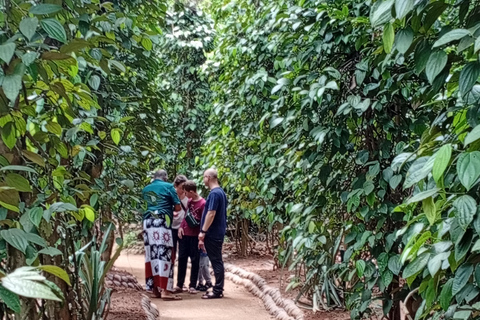 康提：香料园和手工艺人工作室嘟嘟车之旅