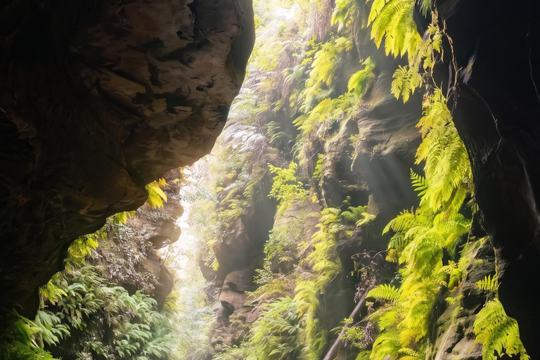 Blue Mountains Active Hike Tour from Sydney: No Rides Sydney: Blue Mountains Active Eco-Hike Tour (No Rides)