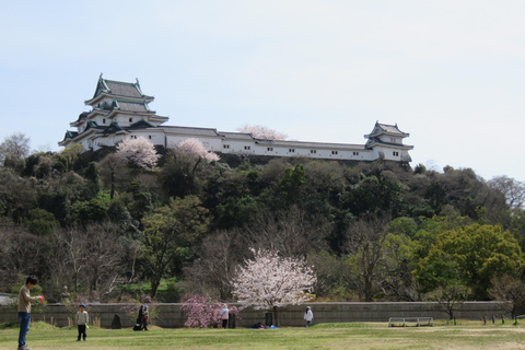 Wakayama: Tamura Style Samurai Experience with Castle Tour