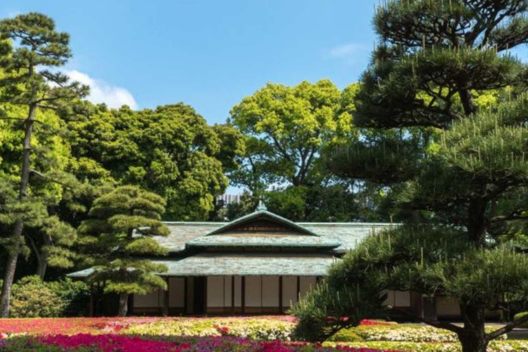 Tokyo City Private Day Tour By English Speaking Driver