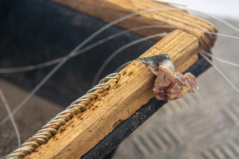 São Miguel: Die Kunst des traditionellen FischensSao Miguel: Die Kunst des traditionellen Fischens