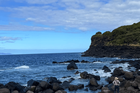 Azores: Pico Island Tour