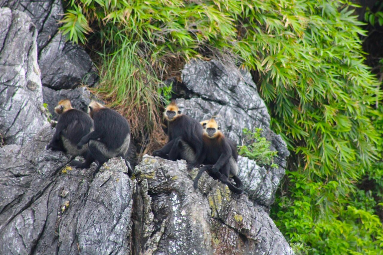 3-Day Discover the most stunning Cat Ba Island - Lan Ha Bay