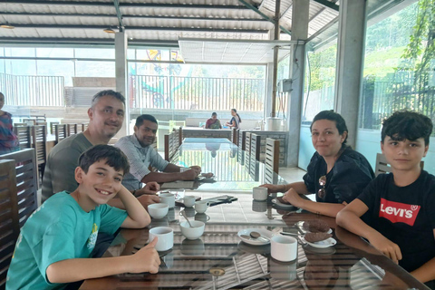 Kandy: Tea Tour