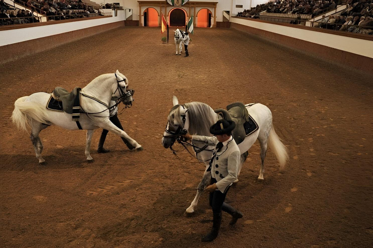 Jerez dalla Costa del Sol: cantine con degustazione di vini e spettacolo equestreJerez from the Costa del Sol: Wineries with Wine Tasting and Equestrian Show