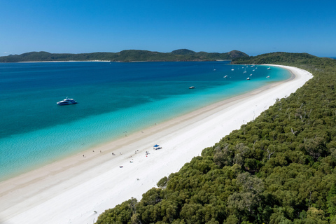 Praia de Airlie: Excursão diurna à Ilha Grande da Praia de WhitehavenAirlie Beach: Whitehaven Beach Excursão de um dia à Ilha Grande