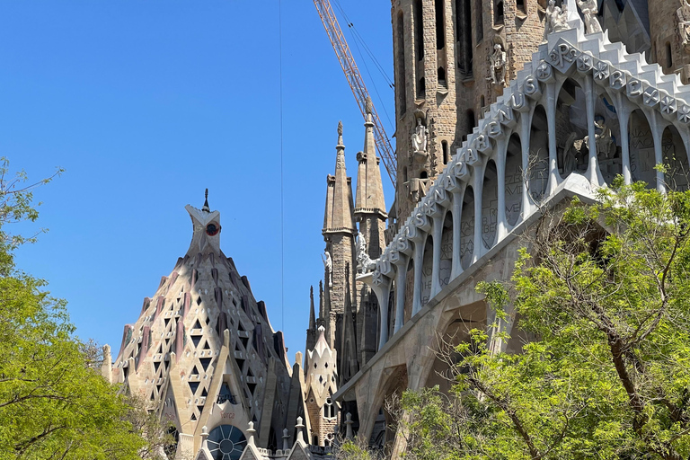 Guided Tour of Sagrada Familia - Gaudi's dream