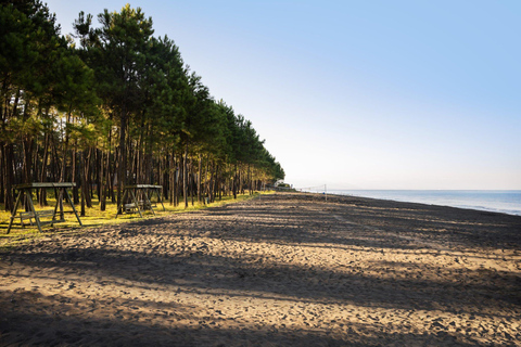 Black Sea: Magnetic Beach and Batumi Botanical Garden Tour