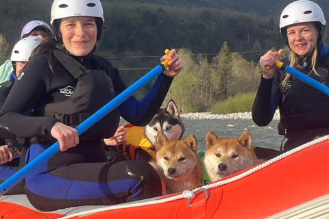 Soča River Family Rafting Tour with Dog