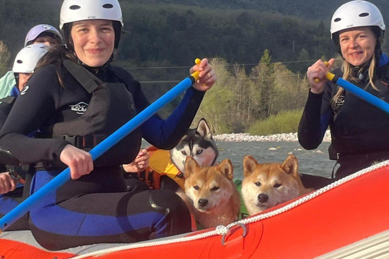 Soča River Family Rafting Tour with Dog