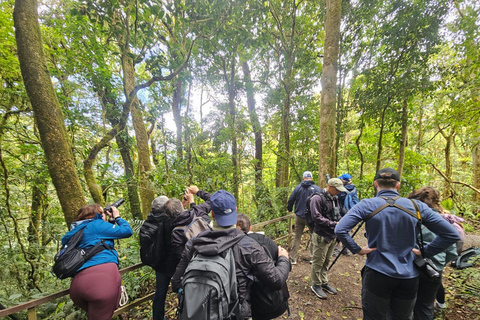 Monteverde: Cloud Forest Night Tour with Pablo