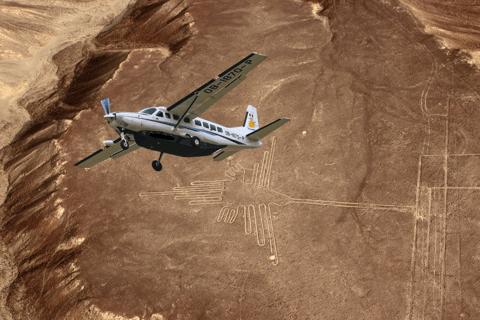 Lima: Ballestas-öarna, Nazca-linjerna och Huacachina Tour