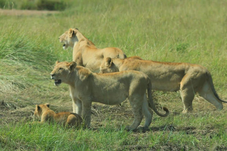 Lake Nakuru & Naivasha National Park Wildlife Highlights